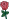 rožė